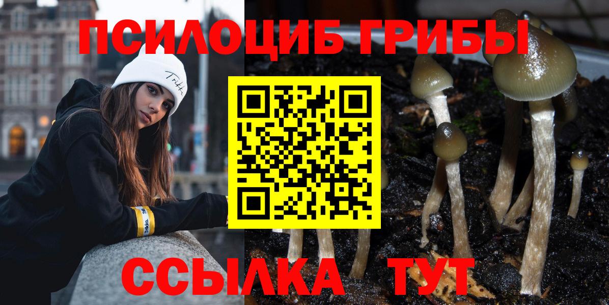 Саратов  Галлюциногенные грибы мухоморы  Вход с VPN  Галлюциногенные грибы GOLDEN TEACHER 